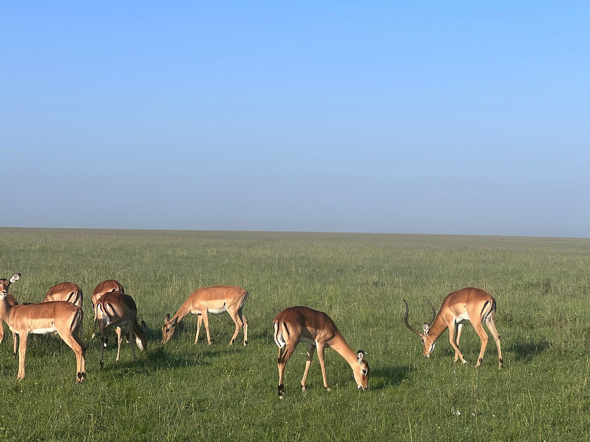 Mt. Longonot